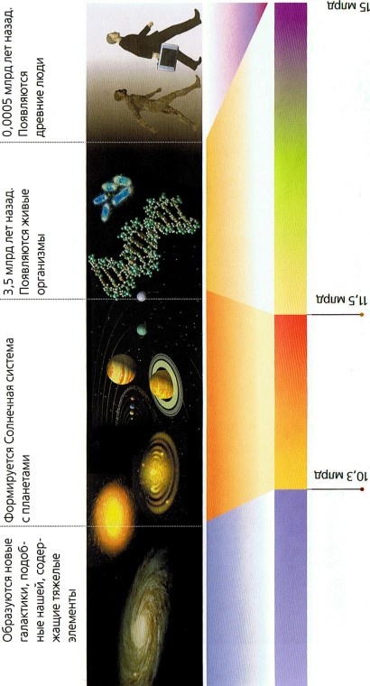 Иллюстрация к книге — Мир в ореховой скорлупке [i_178.jpg]