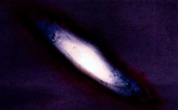 Иллюстрация к книге — Мир в ореховой скорлупке [i_197.jpg]