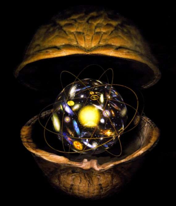 Иллюстрация к книге — Мир в ореховой скорлупке [i_214.jpg]