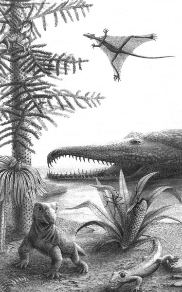 Иллюстрация к книге — Летающие жирафы, мамонты-блондины, карликовые коровы... От палеонтологических реконструкций к предсказаниям будущего Земли [i_012.jpg]