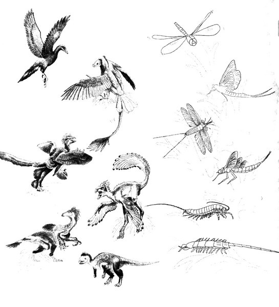 Иллюстрация к книге — Летающие жирафы, мамонты-блондины, карликовые коровы... От палеонтологических реконструкций к предсказаниям будущего Земли [i_018.jpg]