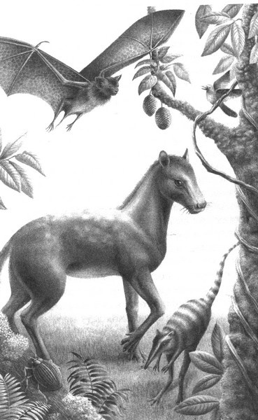 Иллюстрация к книге — Летающие жирафы, мамонты-блондины, карликовые коровы... От палеонтологических реконструкций к предсказаниям будущего Земли [i_021.jpg]