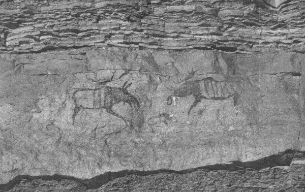 Иллюстрация к книге — Летающие жирафы, мамонты-блондины, карликовые коровы... От палеонтологических реконструкций к предсказаниям будущего Земли [i_023.jpg]