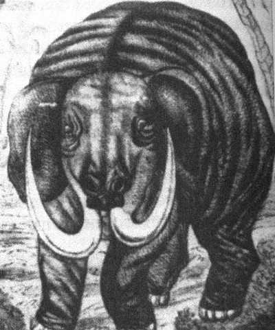 Иллюстрация к книге — Летающие жирафы, мамонты-блондины, карликовые коровы... От палеонтологических реконструкций к предсказаниям будущего Земли [i_032.jpg]