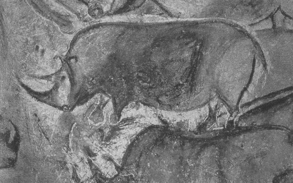 Иллюстрация к книге — Летающие жирафы, мамонты-блондины, карликовые коровы... От палеонтологических реконструкций к предсказаниям будущего Земли [i_036.jpg]