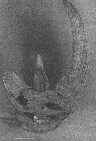 Иллюстрация к книге — Летающие жирафы, мамонты-блондины, карликовые коровы... От палеонтологических реконструкций к предсказаниям будущего Земли [i_037.jpg]