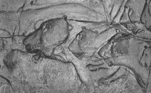 Иллюстрация к книге — Летающие жирафы, мамонты-блондины, карликовые коровы... От палеонтологических реконструкций к предсказаниям будущего Земли [i_038.jpg]