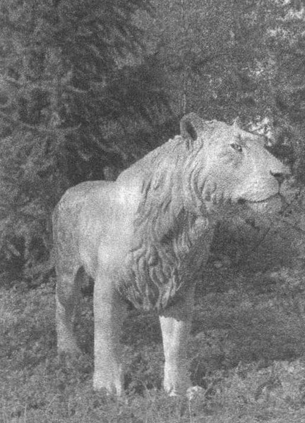 Иллюстрация к книге — Летающие жирафы, мамонты-блондины, карликовые коровы... От палеонтологических реконструкций к предсказаниям будущего Земли [i_039.jpg]