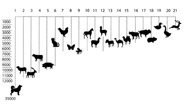 Иллюстрация к книге — Летающие жирафы, мамонты-блондины, карликовые коровы... От палеонтологических реконструкций к предсказаниям будущего Земли [i_043.jpg]