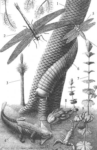 Иллюстрация к книге — До и после динозавров [carbon.jpg]