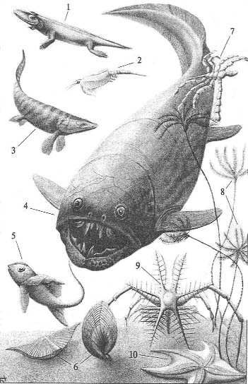 Иллюстрация к книге — До и после динозавров [devon.jpg]