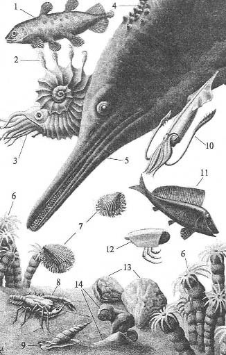 Иллюстрация к книге — До и после динозавров [jura.jpg]