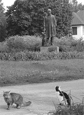 Иллюстрация к книге — Стой, кто ведет? Биология поведения человека и других зверей [i_013.jpg]