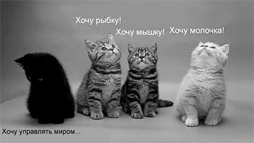 Иллюстрация к книге — Стой, кто ведет? Биология поведения человека и других зверей [i_037.jpg]