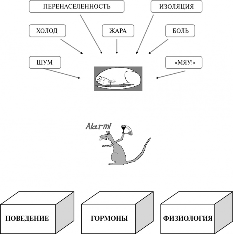Иллюстрация к книге — Стой, кто ведет? Биология поведения человека и других зверей [i_040.jpg]