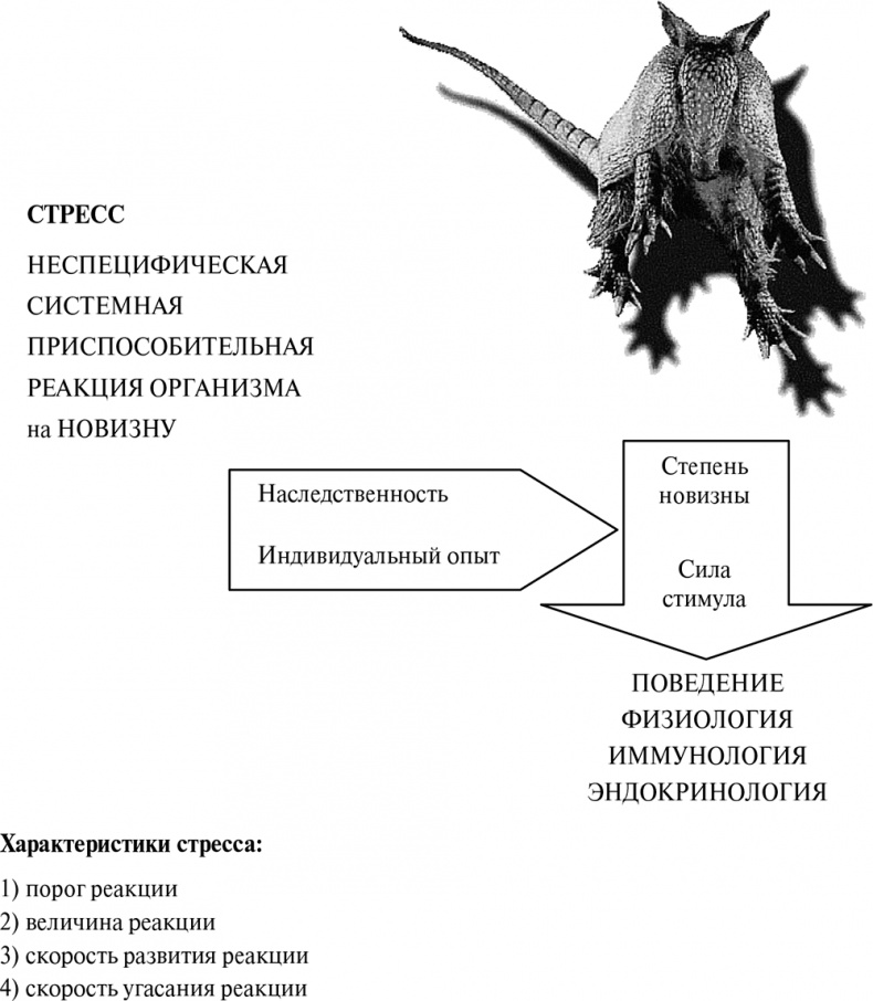 Иллюстрация к книге — Стой, кто ведет? Биология поведения человека и других зверей [i_047.jpg]