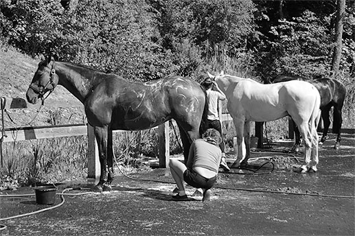 Иллюстрация к книге — Стой, кто ведет? Биология поведения человека и других зверей [i_063.jpg]