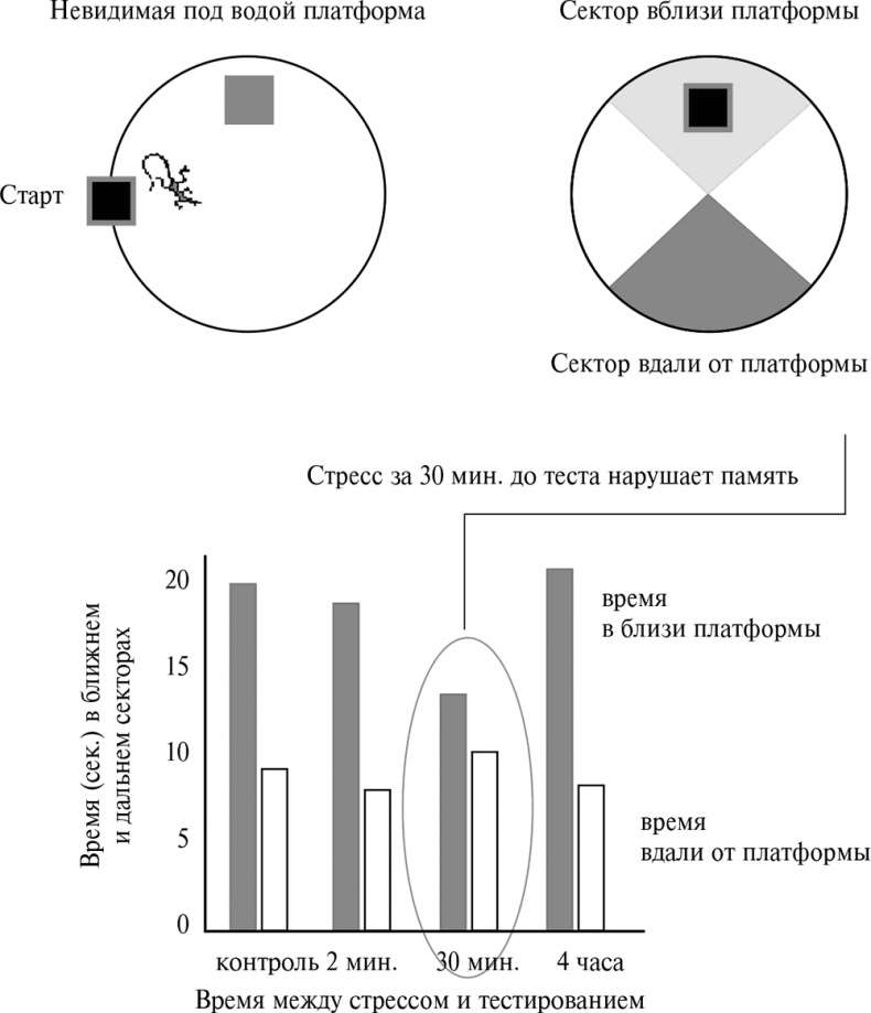 Иллюстрация к книге — Стой, кто ведет? Биология поведения человека и других зверей [i_073.jpg]