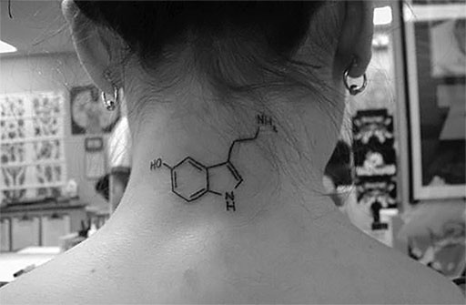 Иллюстрация к книге — Стой, кто ведет? Биология поведения человека и других зверей [i_086.jpg]