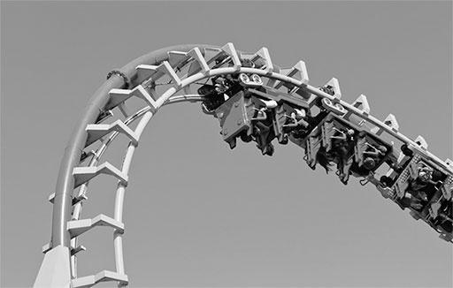 Иллюстрация к книге — Стой, кто ведет? Биология поведения человека и других зверей [i_090.jpg]