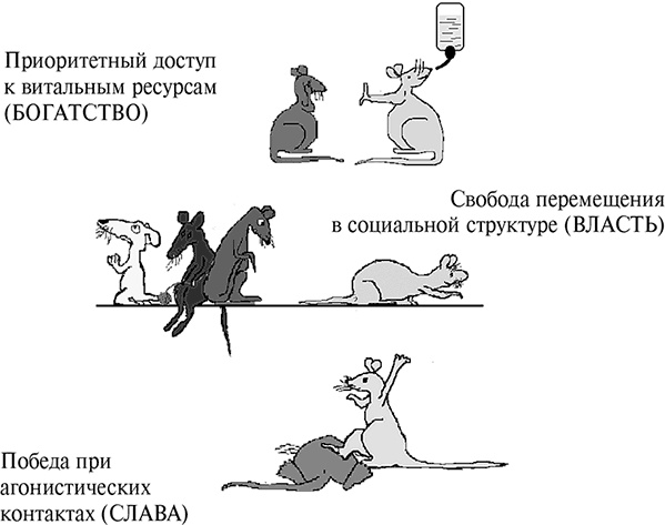 Иллюстрация к книге — Стой, кто ведет? Биология поведения человека и других зверей [i_112.jpg]