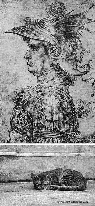 Иллюстрация к книге — Стой, кто ведет? Биология поведения человека и других зверей [i_124.jpg]