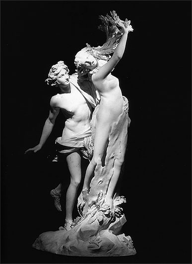 Иллюстрация к книге — Стой, кто ведет? Биология поведения человека и других зверей [i_144.jpg]