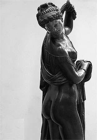 Иллюстрация к книге — Стой, кто ведет? Биология поведения человека и других зверей [i_156.jpg]