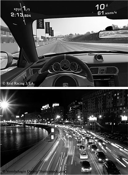 Иллюстрация к книге — Стой, кто ведет? Биология поведения человека и других зверей [i_198.jpg]