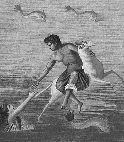 Иллюстрация к книге — Стой, кто ведет? Биология поведения человека и других зверей [i_204.jpg]