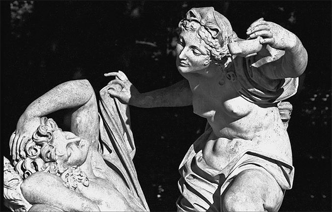 Иллюстрация к книге — Стой, кто ведет? Биология поведения человека и других зверей [i_211.jpg]