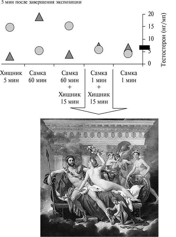 Иллюстрация к книге — Стой, кто ведет? Биология поведения человека и других зверей [i_214.jpg]