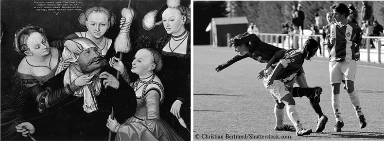 Иллюстрация к книге — Стой, кто ведет? Биология поведения человека и других зверей [i_217.jpg]