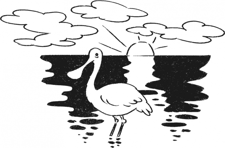 Иллюстрация к книге — Введение в поведение. История наук о том, что движет животными и как их правильно понимать [i_011.jpg]