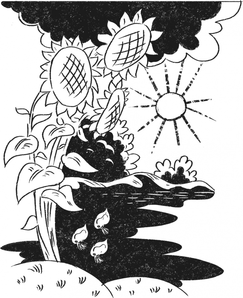 Иллюстрация к книге — Введение в поведение. История наук о том, что движет животными и как их правильно понимать [i_013.jpg]