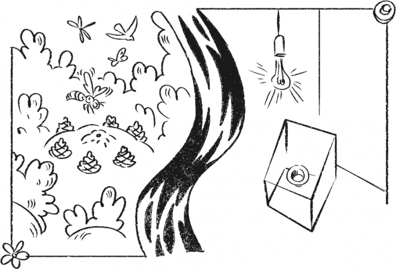 Иллюстрация к книге — Введение в поведение. История наук о том, что движет животными и как их правильно понимать [i_014.jpg]