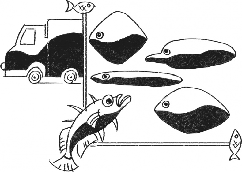 Иллюстрация к книге — Введение в поведение. История наук о том, что движет животными и как их правильно понимать [i_029.jpg]