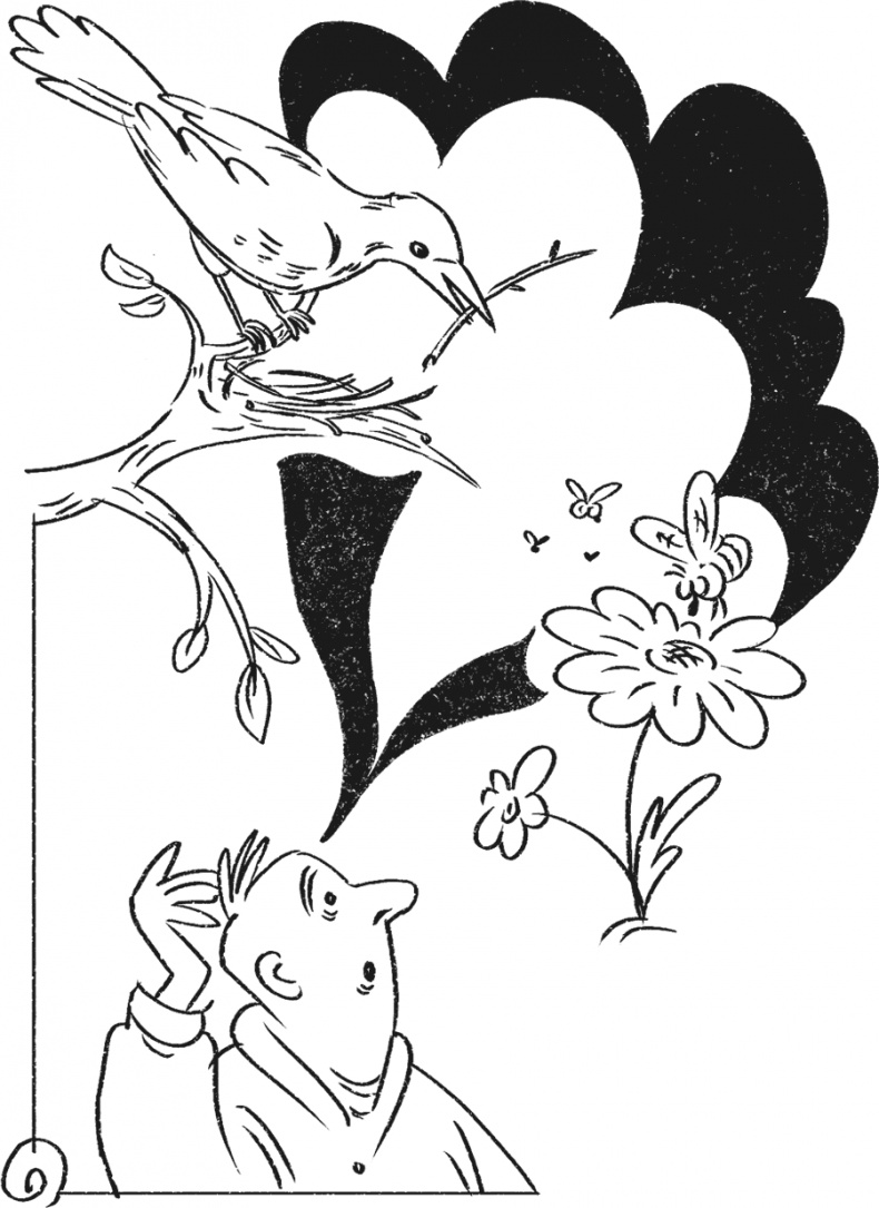 Иллюстрация к книге — Введение в поведение. История наук о том, что движет животными и как их правильно понимать [i_036.jpg]