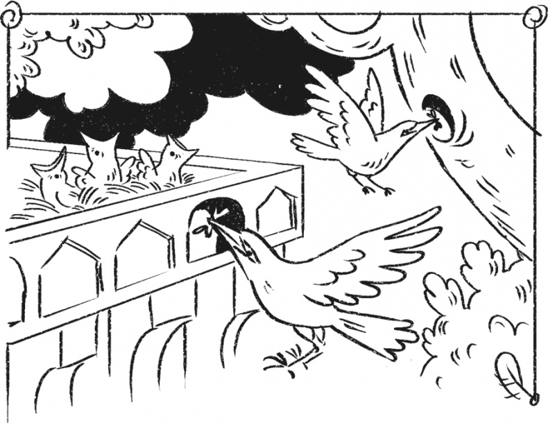 Иллюстрация к книге — Введение в поведение. История наук о том, что движет животными и как их правильно понимать [i_037.jpg]