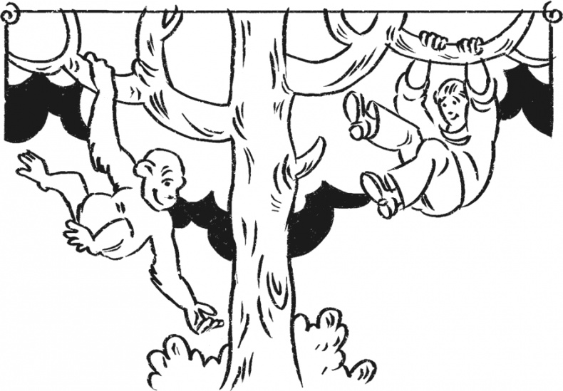 Иллюстрация к книге — Введение в поведение. История наук о том, что движет животными и как их правильно понимать [i_038.jpg]