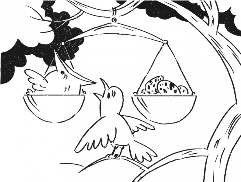 Иллюстрация к книге — Введение в поведение. История наук о том, что движет животными и как их правильно понимать [i_050.jpg]