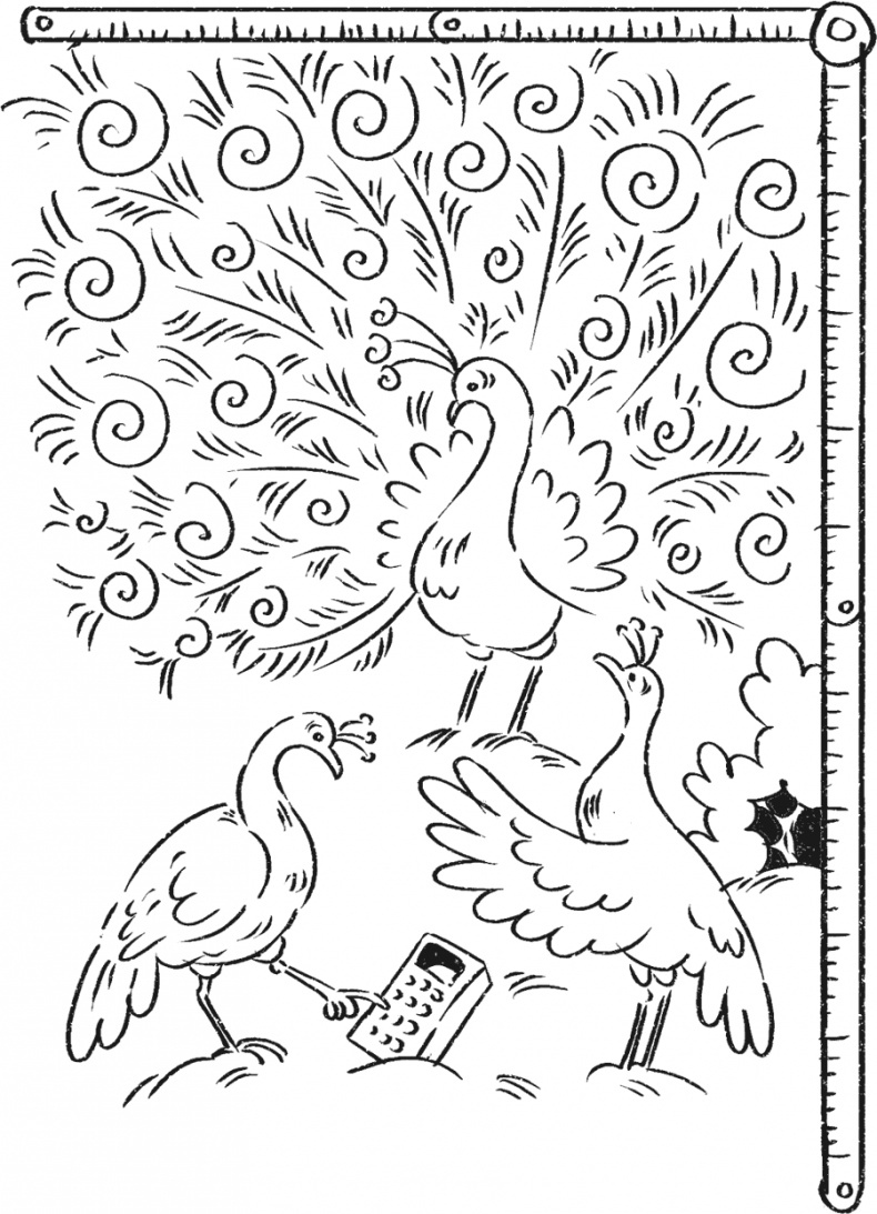 Иллюстрация к книге — Введение в поведение. История наук о том, что движет животными и как их правильно понимать [i_051.jpg]