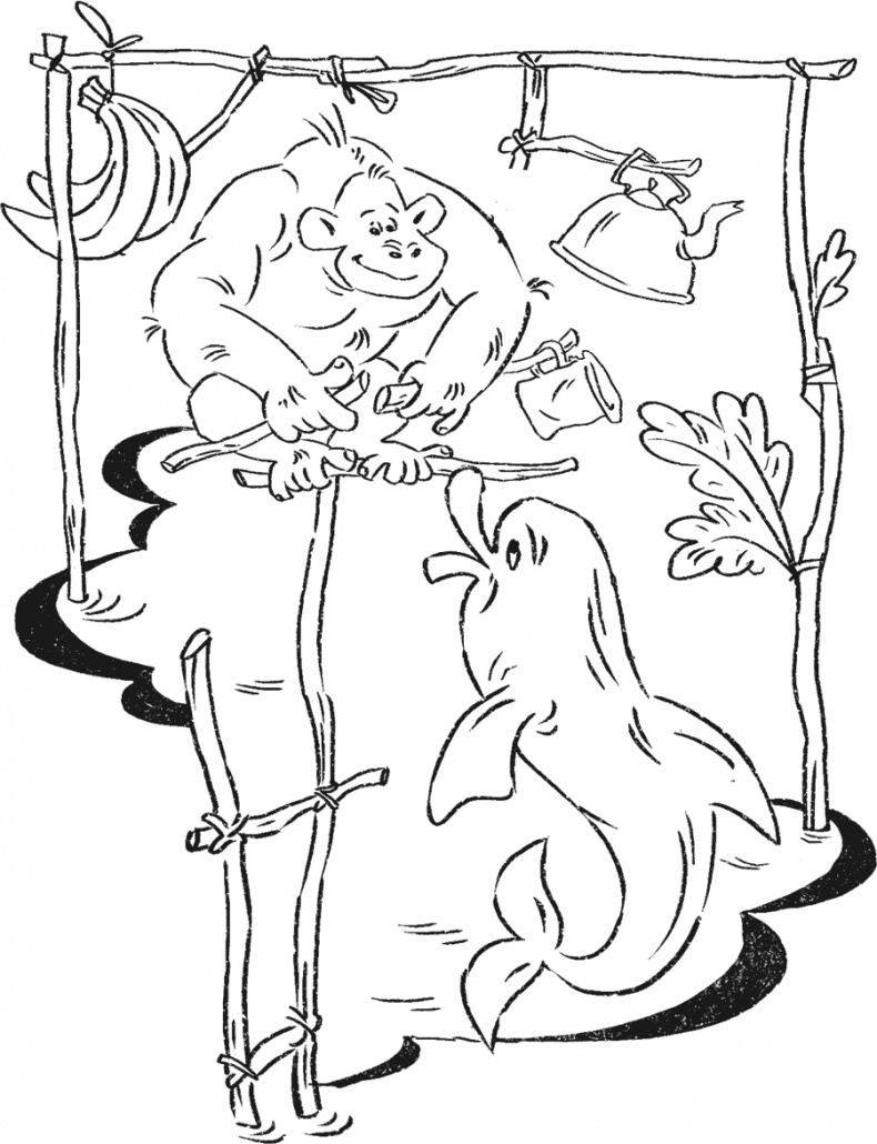 Иллюстрация к книге — Введение в поведение. История наук о том, что движет животными и как их правильно понимать [i_053.jpg]