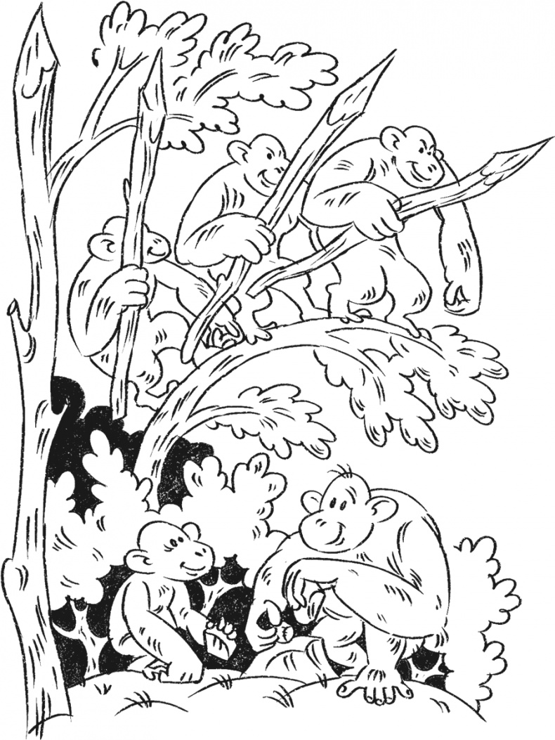 Иллюстрация к книге — Введение в поведение. История наук о том, что движет животными и как их правильно понимать [i_056.jpg]