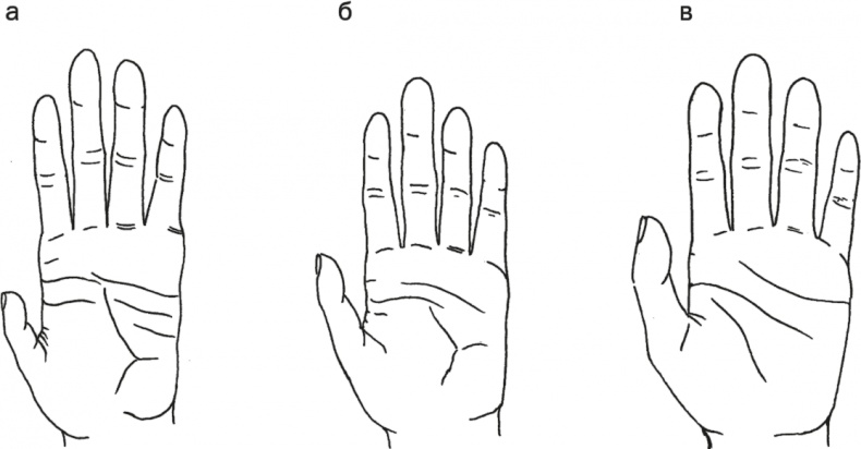 Иллюстрация к книге — Достающее звено. Книга 1. Обезьяна и все-все-все [i_004.jpg]