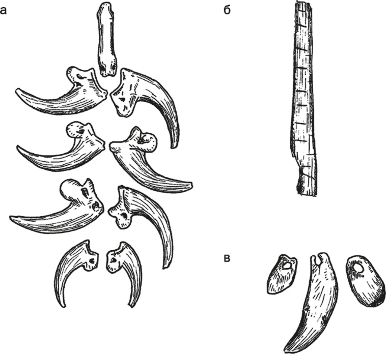 Иллюстрация к книге — Достающее звено. Книга 1. Обезьяна и все-все-все [i_025.jpg]