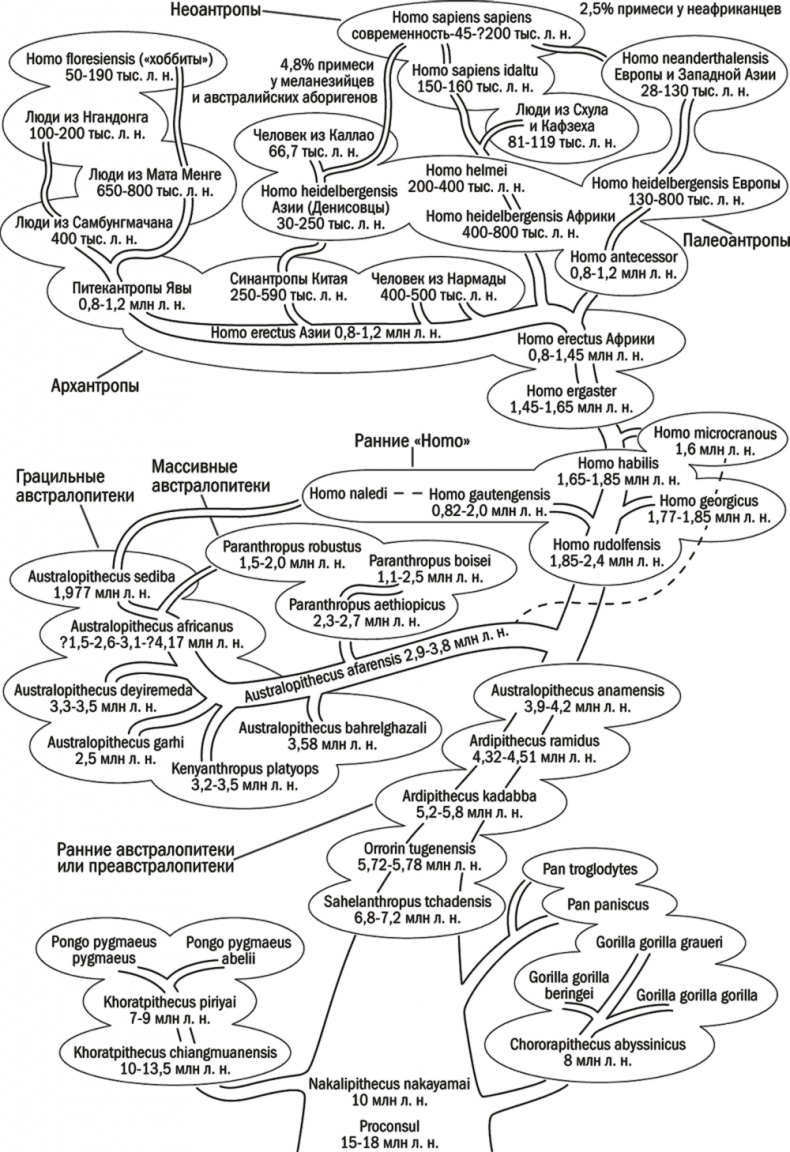 Иллюстрация к книге — Достающее звено. Книга 1. Обезьяна и все-все-все [i_026.jpg]