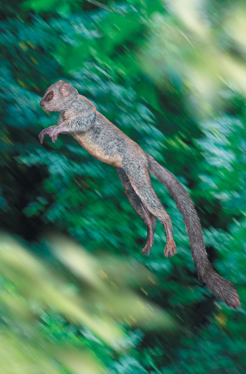 Иллюстрация к книге — Достающее звено. Книга 1. Обезьяна и все-все-все [i_044.jpg]