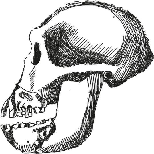 Иллюстрация к книге — Достающее звено. Книга 2. Люди [i_004.jpg]