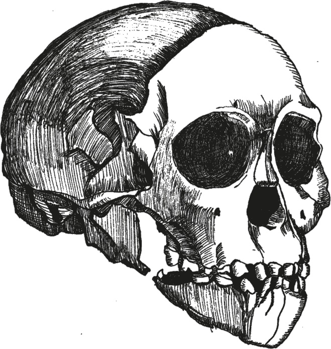 Иллюстрация к книге — Достающее звено. Книга 2. Люди [i_005.jpg]